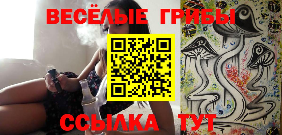 Иваново  Псилоцибиновые грибы ЛСД  сколько стоит  Вход с VPN 