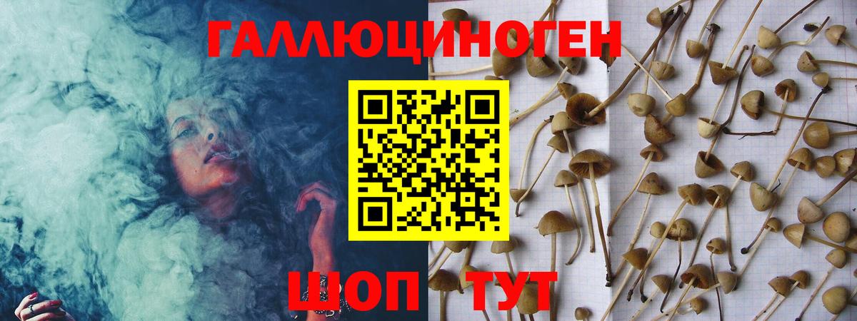 ГАШИШ Иваново